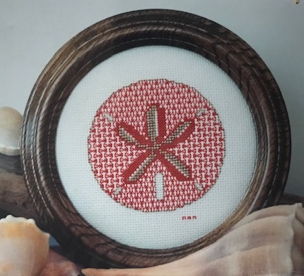 The Summer Sand Dollar