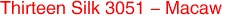 Thirteen Silk 3051 - Macaw