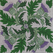Thistle Pinwheel