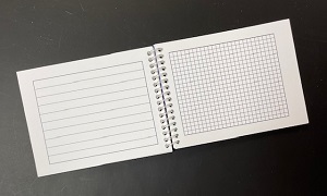 Thistle's Small Needlework Sketch Book