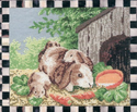 Tilly's Bunnies