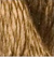 Toasted Almond - Thirteen Silk 3037