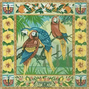 Tropical Macaws