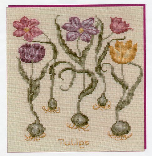 Tulips