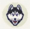 UConn Husky
