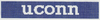 UConn Key Fob