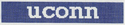 UConn Key Fob