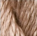 Vineyard Silk C035 Champagne