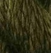 Vineyard Silk C056 Green Moss
