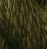 Vineyard Silk C056 Green Moss