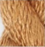 Vineyard Silk C190 Cashew