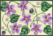 Violet Purse