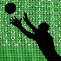 Volleyball