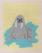 Walrus Kit