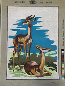 Watchful Deer