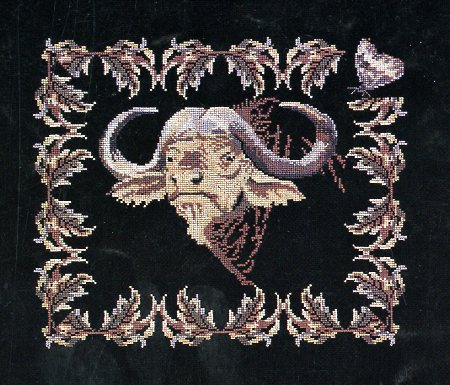 Water Buffalo