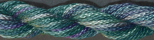 WC-051 Abalone
