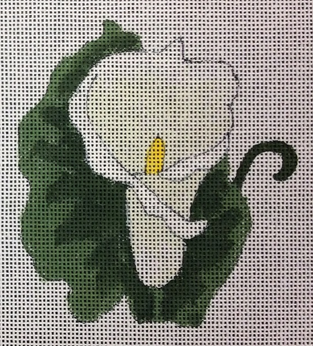 White Calia Lily