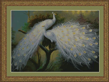 White Peacocks 2