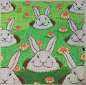 White Rabbits In Holes