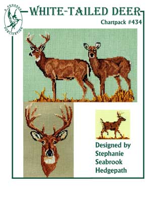 White-Tailed Deer
