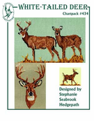 White-Tailed Deer