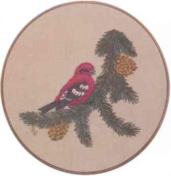 White-winged Crossbill