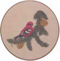 White-winged Crossbill