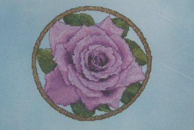 Winter - A Rose For Every Season
