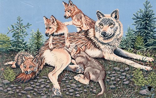 Wolf Mother and Cubs