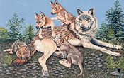 Wolf Mother and Cubs