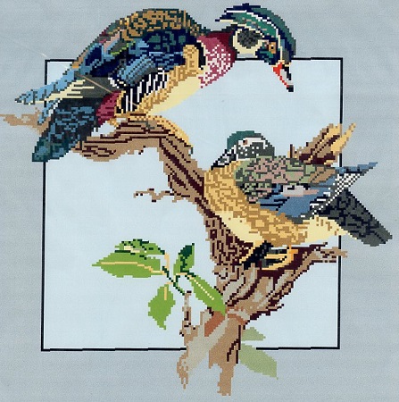 Wood Ducks