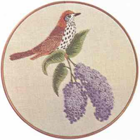 Wood Thrush