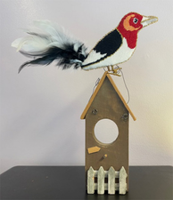 Woodpecker