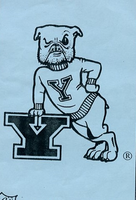 Yale University Bulldog