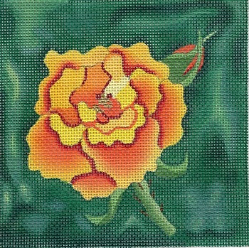 Yellow and Orange Rose