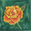 Yellow and Orange Rose