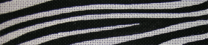 Zebra Bracelet