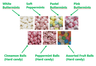 Happy Holidays Wrapper Mints & Candies - Case of 1000