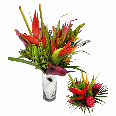 Tropical Elegance