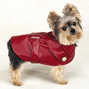 5th Avenue City Slickers Small