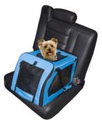 Aqua Small Soft Car Seat and Carrier