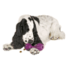 Busy Buddy The Waggle Medium/Large