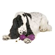Busy Buddy The Waggle Medium/Large