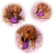 Busy Buddy Twist 'n Treat