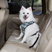 Car Harness for Dogs in Plaid Design 