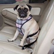 Car Harness for Dogs in Plaid Design Size: X-Small