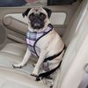 Car Harness for Dogs in Plaid Design Size: X-Small