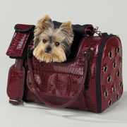 East Side Collection Croc Carriers Medium