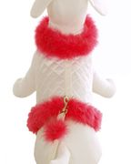 Fashion DIVA in White Dog Short Jackets